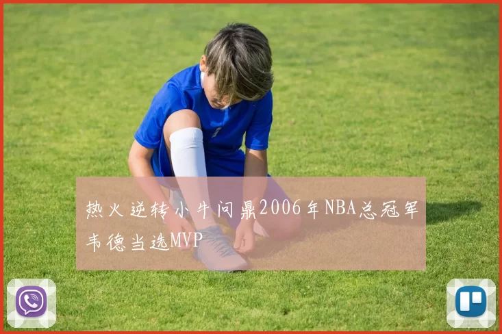 热火逆转小牛问鼎2006年NBA总冠军韦德当选MVP