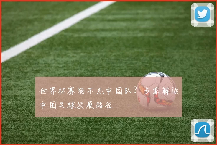世界杯赛场不见中国队?专家解读中国足球发展路径