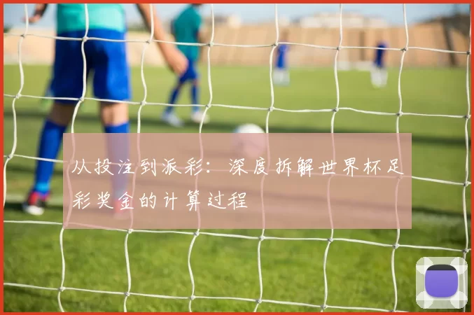 从投注到派彩:深度拆解世界杯足彩奖金的计算过程