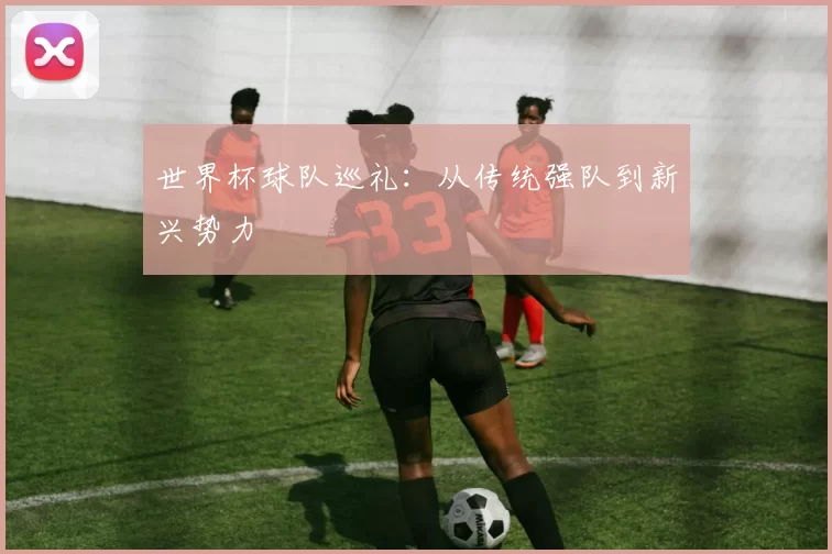 世界杯球队巡礼:从传统强队到新兴势力