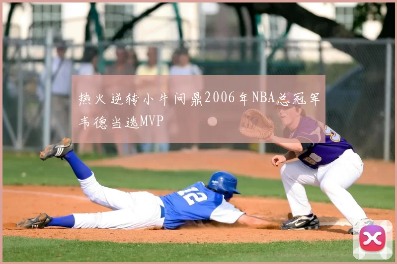 热火逆转小牛问鼎2006年NBA总冠军韦德当选MVP
