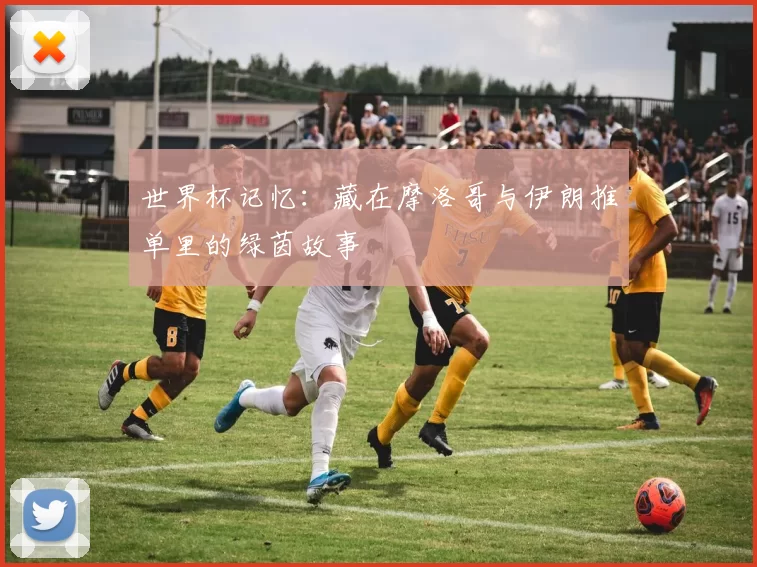 世界杯记忆：藏在摩洛哥与伊朗推单里的绿茵故事