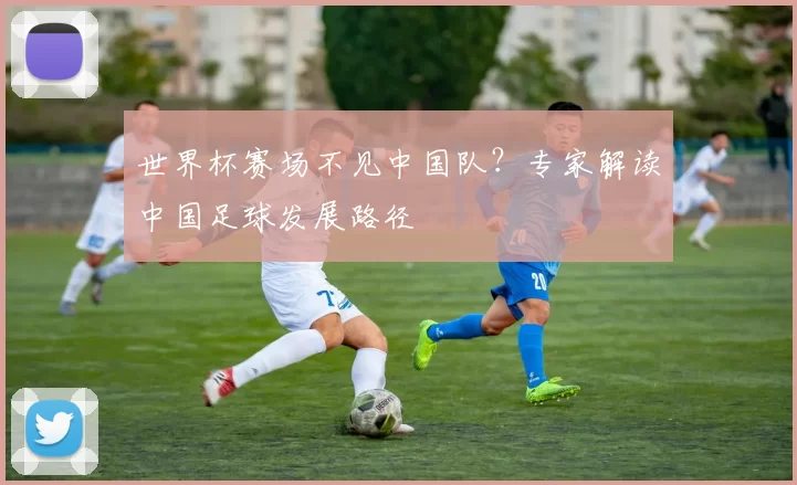 世界杯赛场不见中国队？专家解读中国足球发展路径