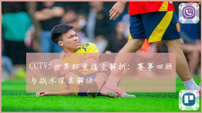 CCTV5世界杯重播全解析：赛事回顾与战术深度解读