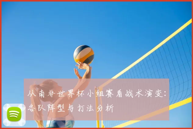 从南非世界杯小组赛看战术演变：各队阵型与打法分析