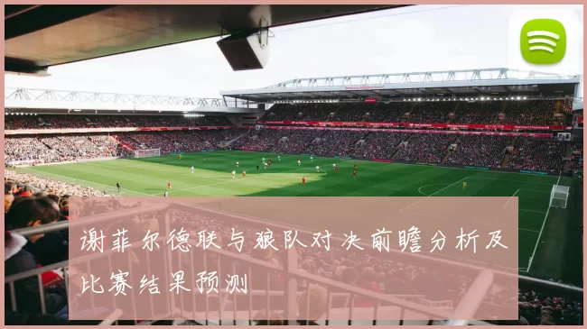 谢菲尔德联与狼队对决前瞻分析及比赛结果预测