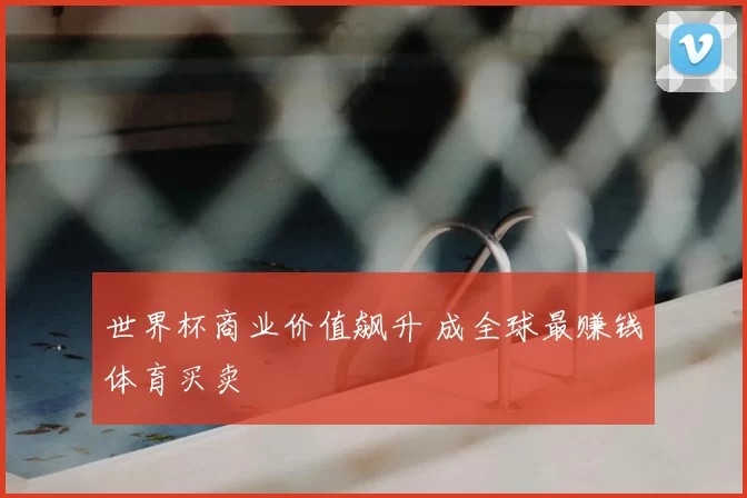 世界杯商业价值飙升 成全球最赚钱体育买卖