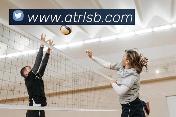 App Interface Preview